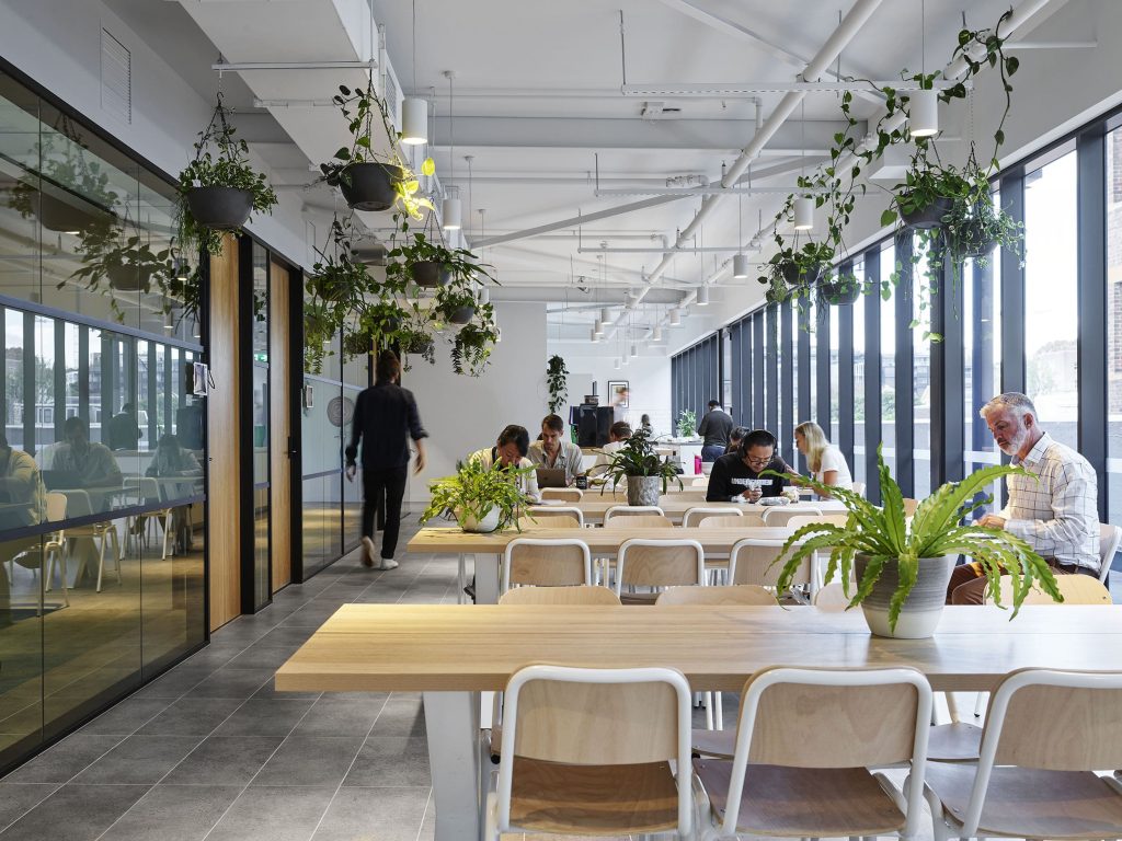 Co-Working Space